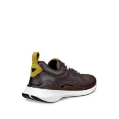 Ecco Biom 2.2 Læder Gore-Tex Herresko