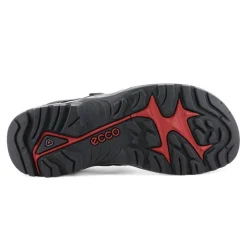 Ecco Offroad Andes II Sandal Herre