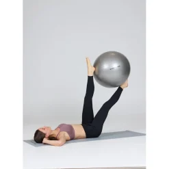 Endurance Gym Ball 65 cm