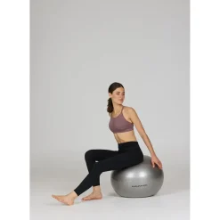 Endurance Gym Ball 65 cm