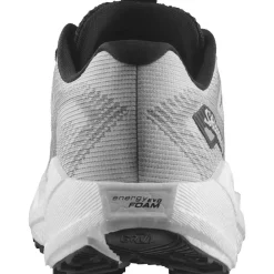 Salomon Aero Blaze 3 GRVL Løbesko Herre