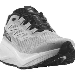 Salomon Aero Blaze 3 GRVL Løbesko Herre