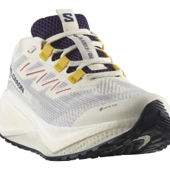 Salomon Aero Blaze 3 GRVL Gore-Tex Løbesko Dame