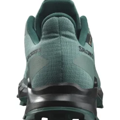 Salomon Alphacross 5 Gore-Tex Herresko