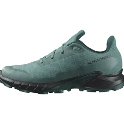 Salomon Alphacross 5 Gore-Tex Herresko