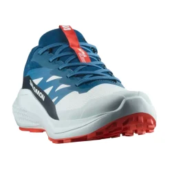 Salomon Alphaglide Sko Herre
