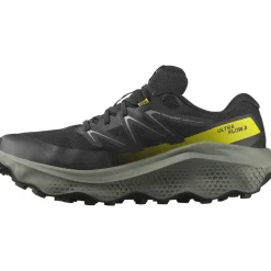Salomon Ultra Flow 2 Gore-Tex Løbesko Herre