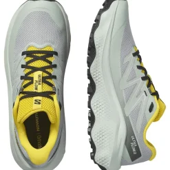 Salomon Ultra Flow 2 Løbesko Herre