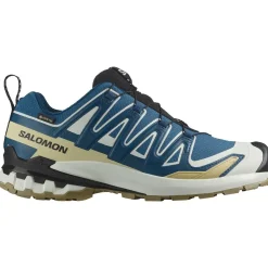 Salomon XA PRO 3D V9 Gore-Tex Herresko