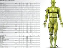 Select Profcare 6202 Håndbold Knæbind
