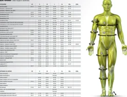 Select Profcare 6200 Knæbind