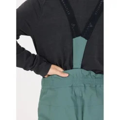 Whistler Drizzle W-Pro 10.000 Skibukser Herre, balsam green