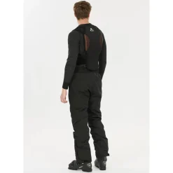 Whistler Iguchi Rygskjold