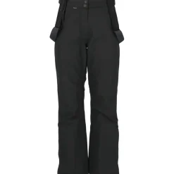 Whistler Montill W-Pro 10.000 Skisæt Dame, island fossil