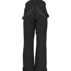 Whistler Montill W-Pro 10.000 Skisæt Dame, island fossil